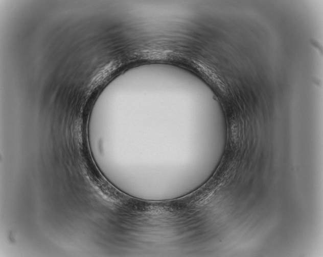 X0000096400682200802141519