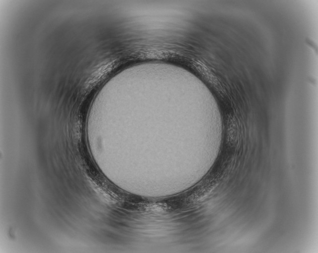 X0000096400683200802141519