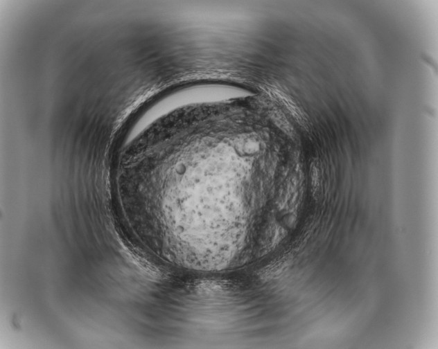 X0000096400684200802141519