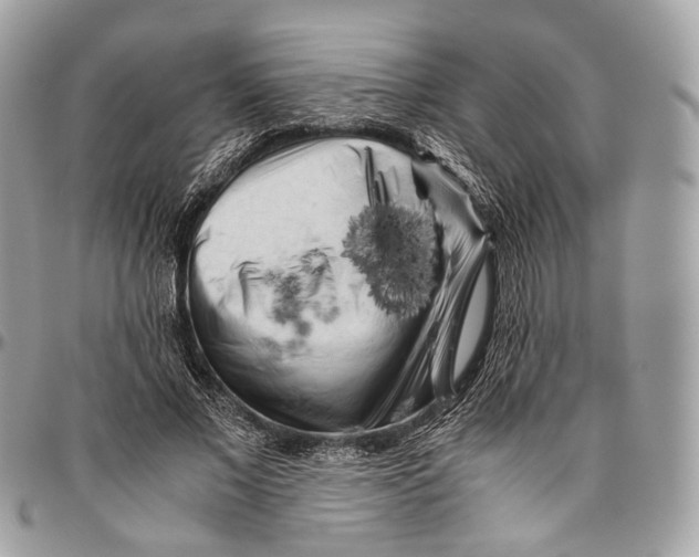 X0000096400685200802141519