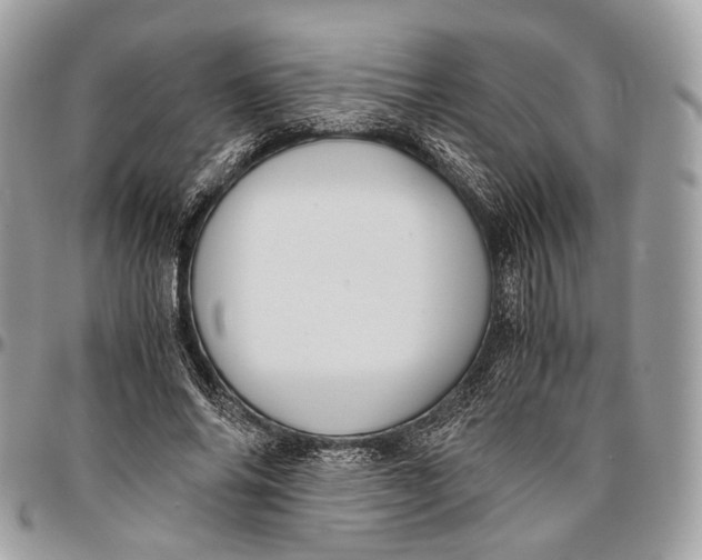 X0000096400686200802141519