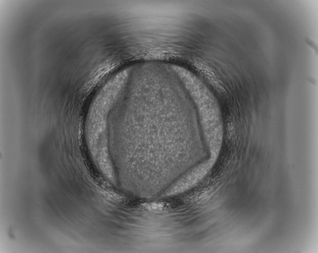 X0000096400687200802141519