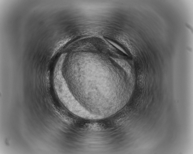 X0000096400688200802141519