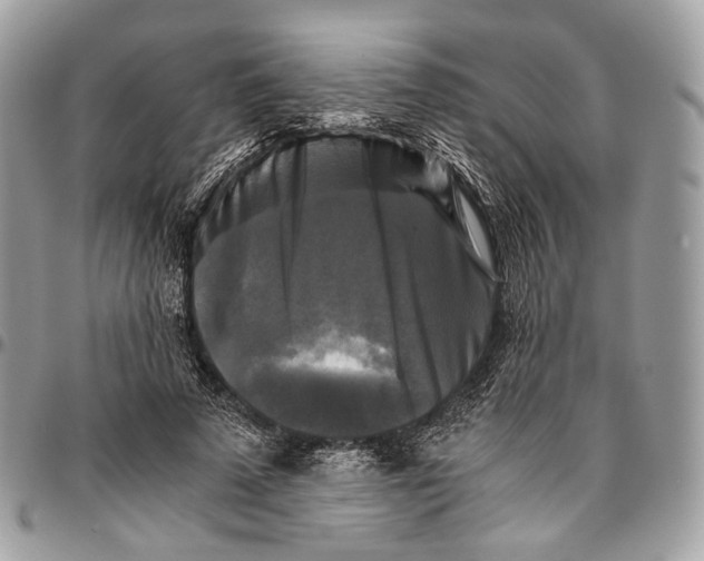 X0000096400689200802141519