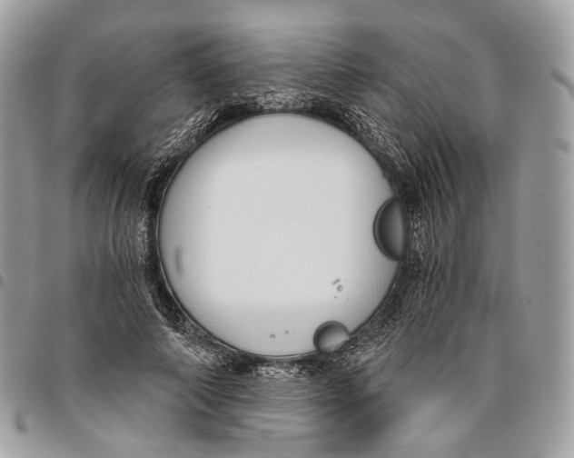 X0000096400690200802141519