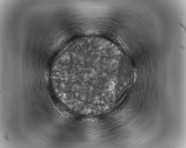 X0000096400691200802141519