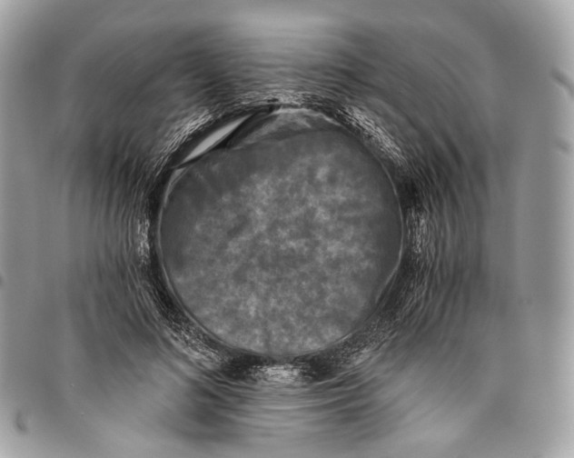 X0000096400692200802141519