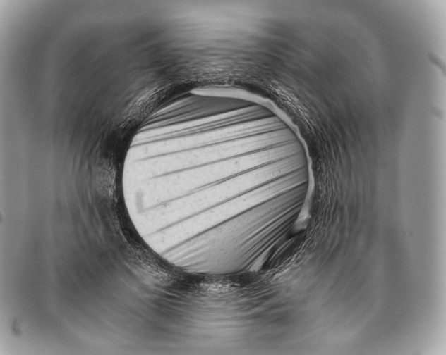 X0000096400693200802141519