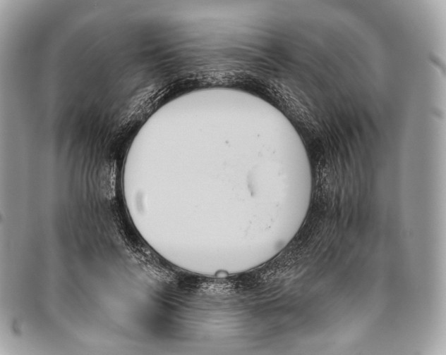 X0000096400694200802141519