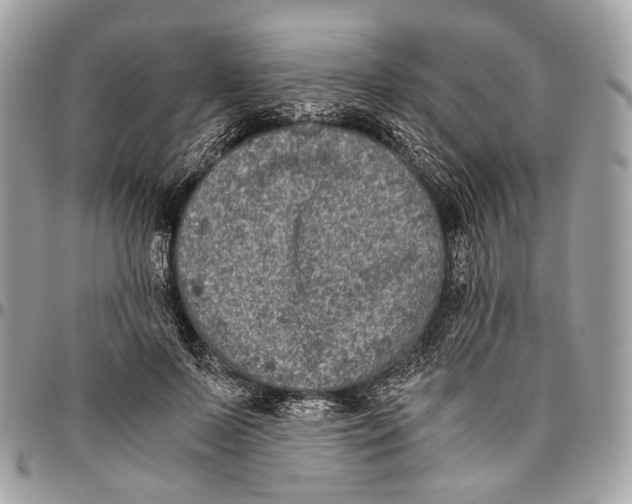 X0000096400695200802141519