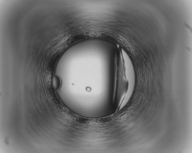 X0000096400697200802141519