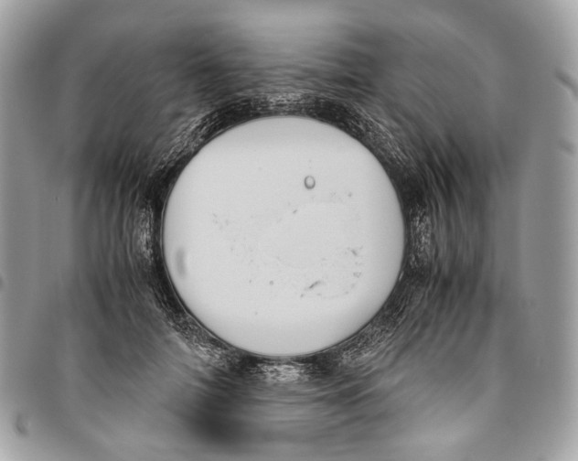 X0000096400698200802141519