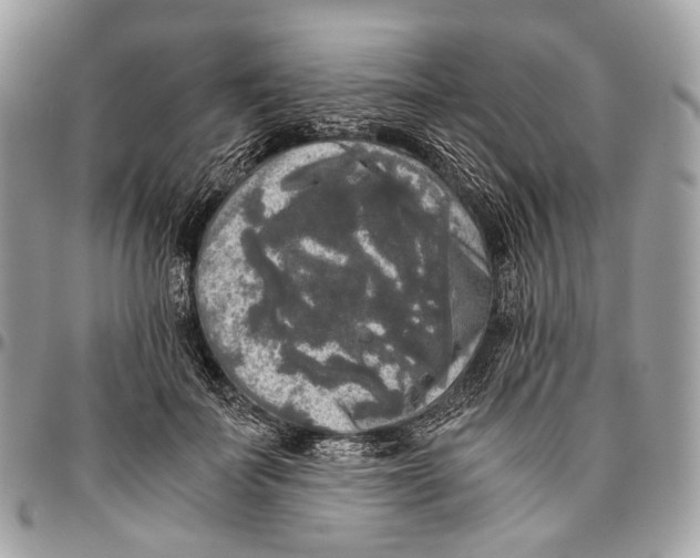 X0000096400699200802141519