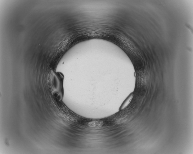 X0000096400700200802141519