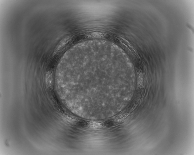 X0000096400701200802141518