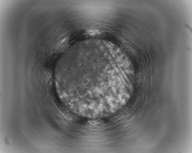 X0000096400703200802141518