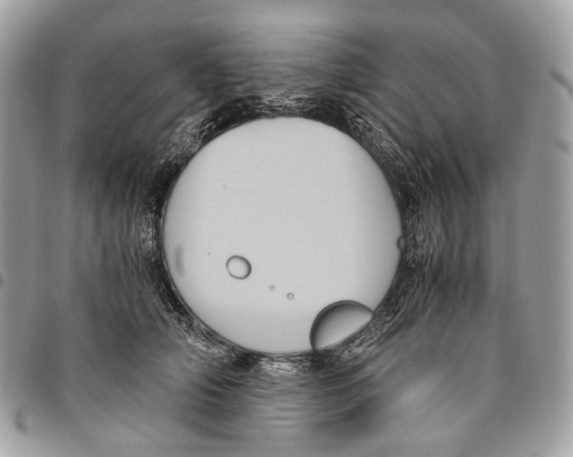 X0000096400706200802141518