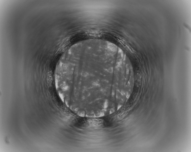 X0000096400707200802141518