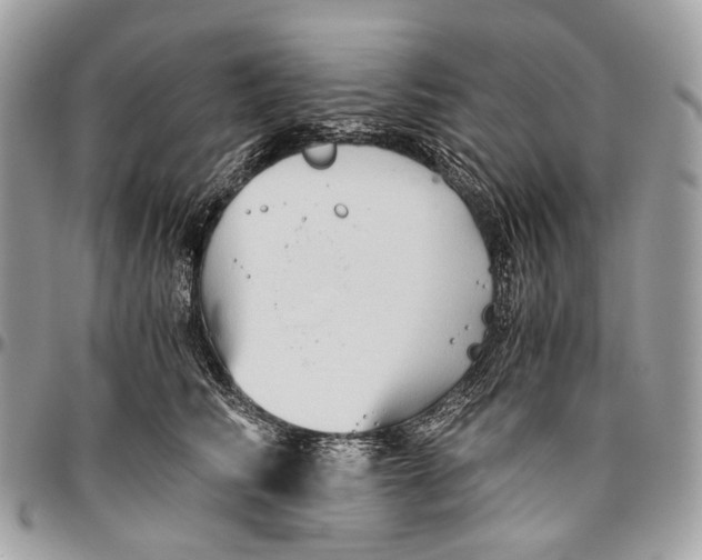 X0000096400710200802141518