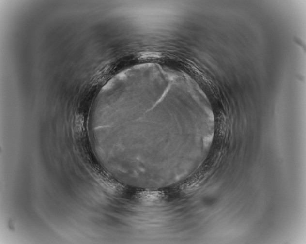 X0000096400711200802141518