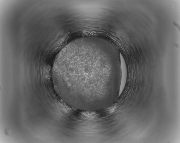 X0000096400712200802141518