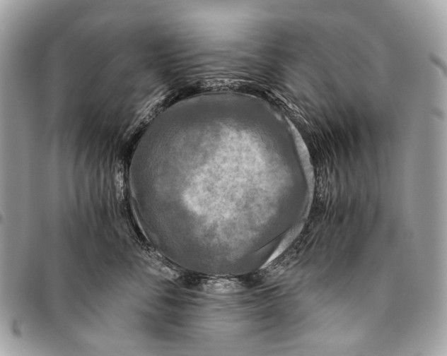 X0000096400716200802141518