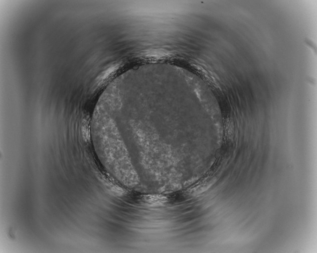 X0000096400719200802141518