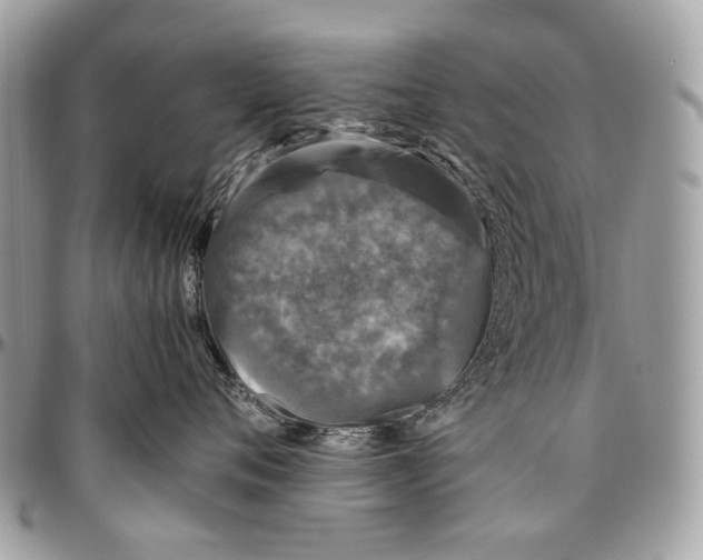 X0000096400720200802141518