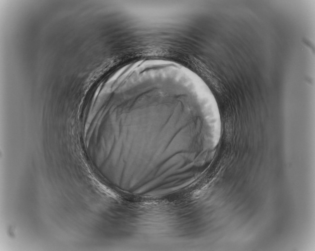 X0000096400721200802141518