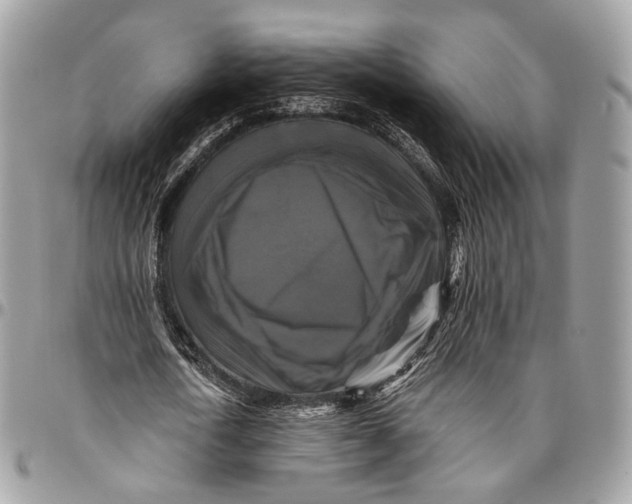 X0000096400722200802141518