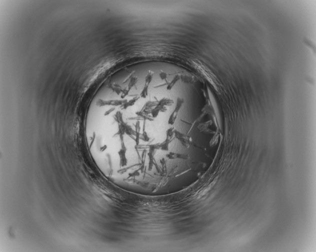 X0000096400723200802141518