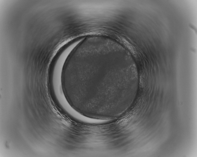 X0000096400724200802141518