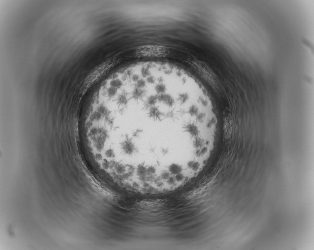 X0000096400725200802141518