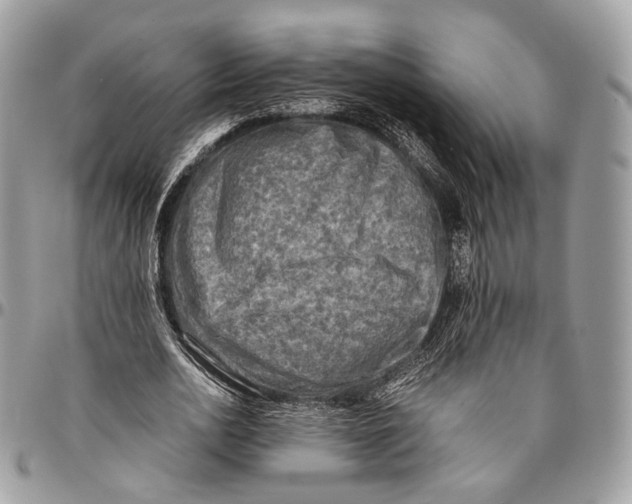 X0000096400726200802141518