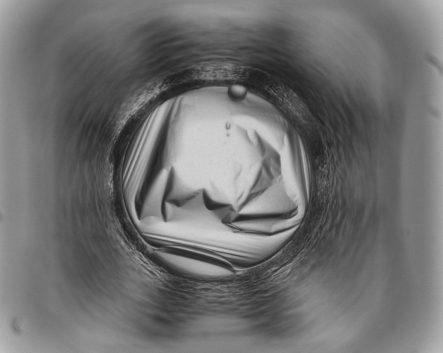 X0000096400727200802141518