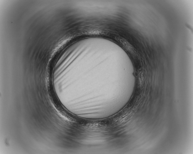 X0000096400728200802141518