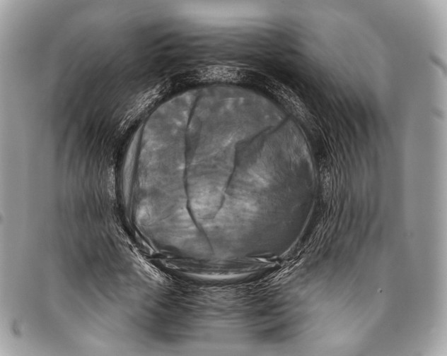 X0000096400729200802141518