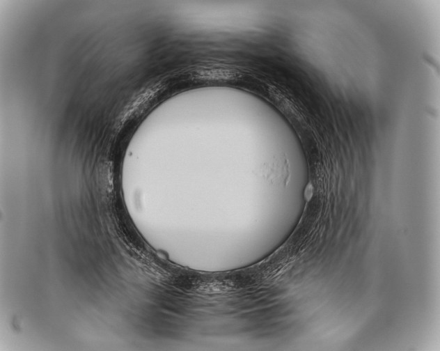 X0000096400731200802141518