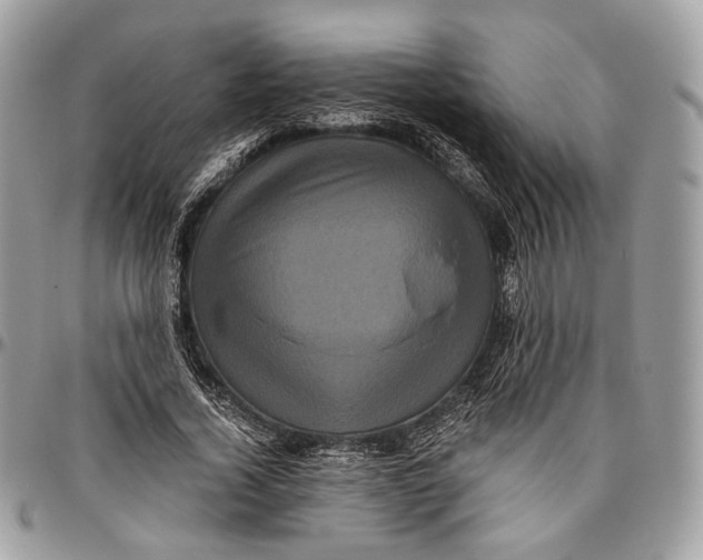 X0000096400732200802141518