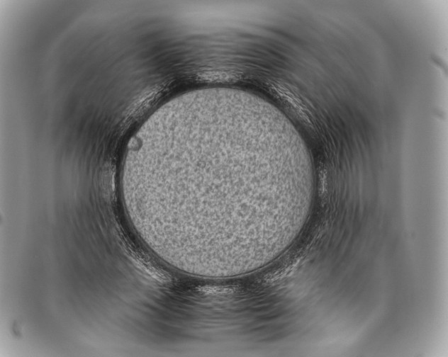 X0000096400733200802141518