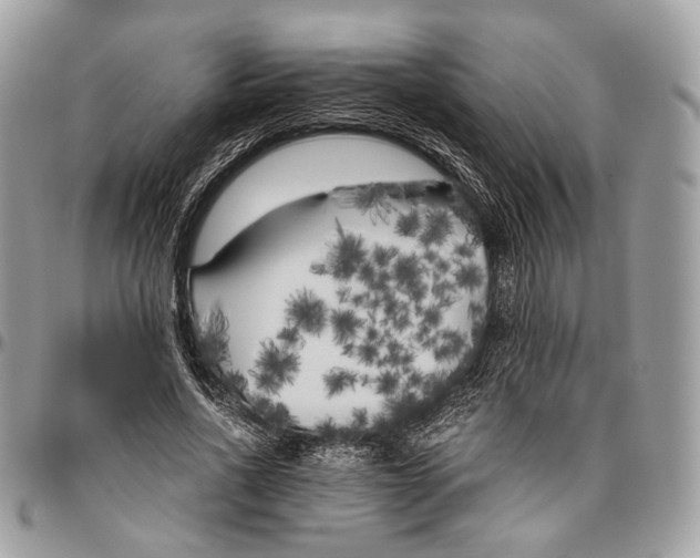 X0000096400734200802141518