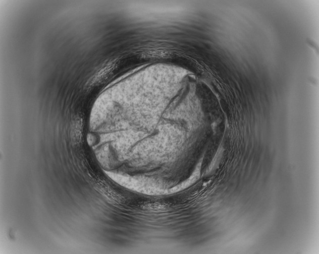 X0000096400735200802141518