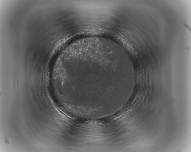 X0000096400736200802141518