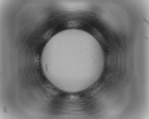 X0000096400737200802141518