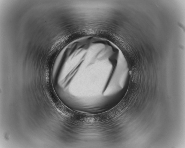 X0000096400740200802141518