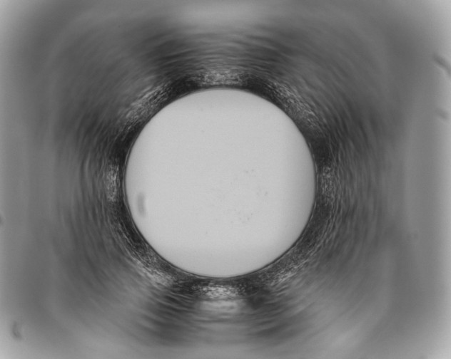 X0000096400741200802141518