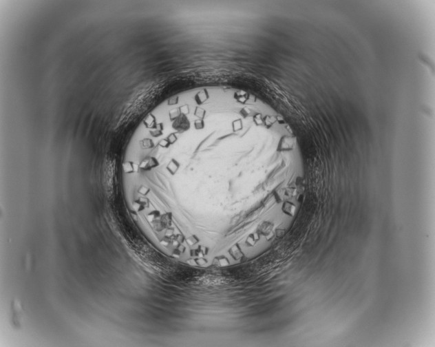 X0000096400742200802141518