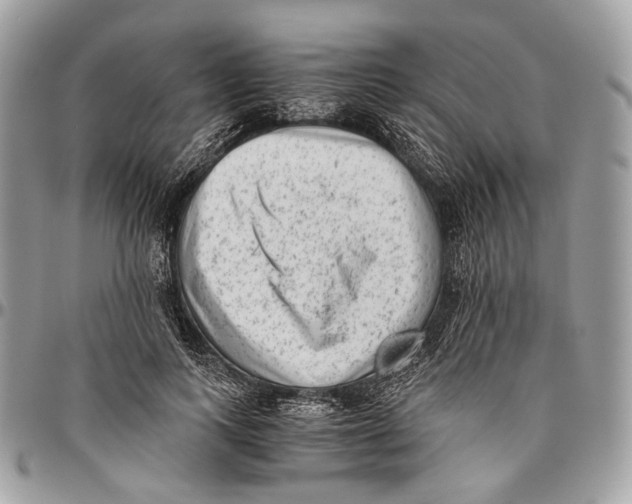 X0000096400743200802141518