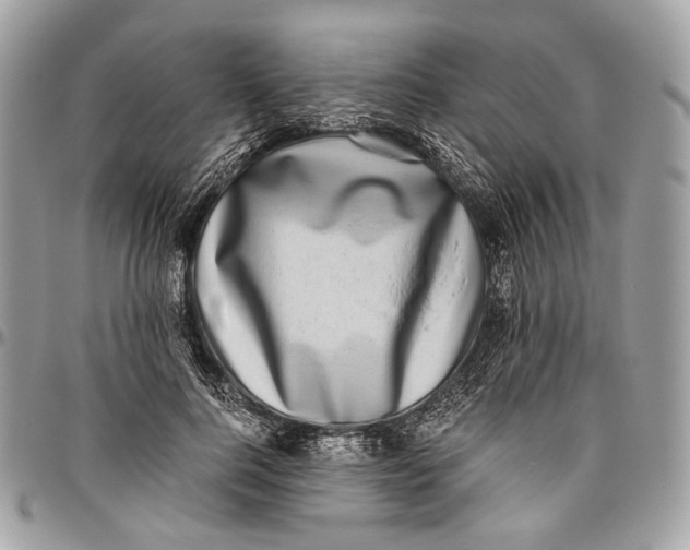 X0000096400744200802141518