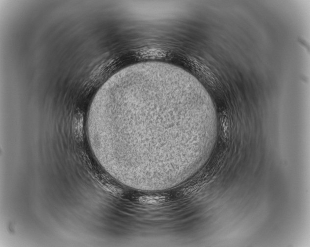 X0000096400745200802141518